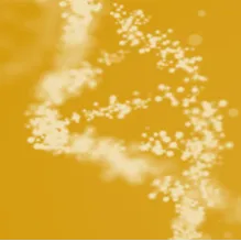 Residual DNA Testing