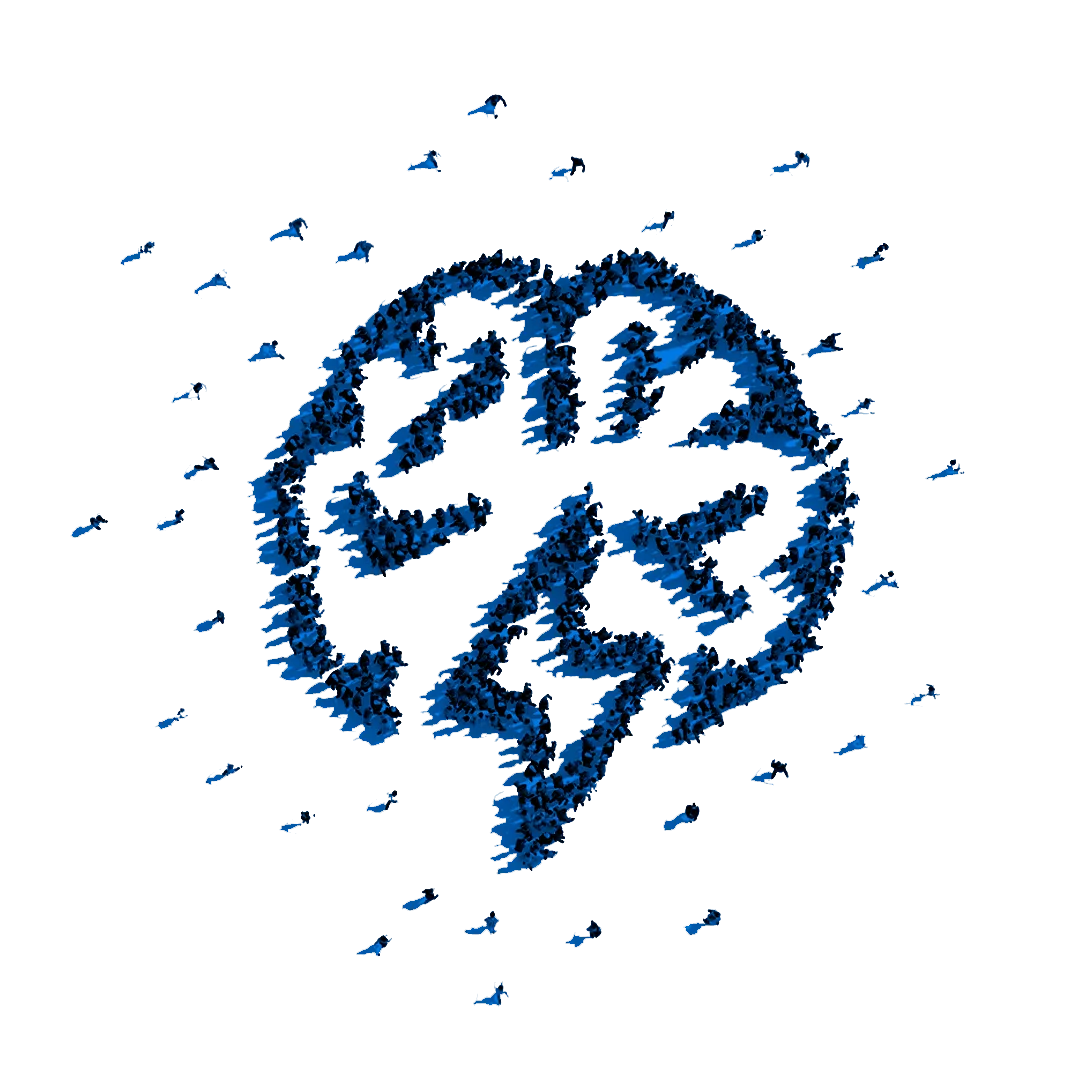 Analytics + Intelligence