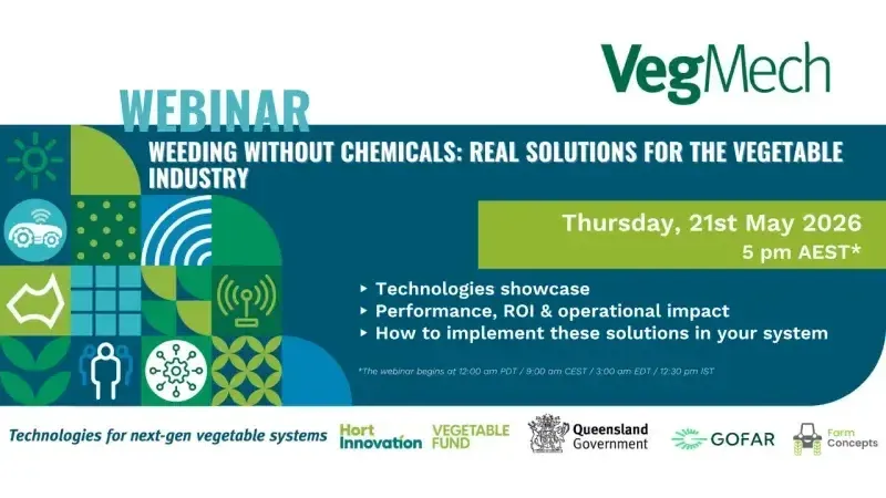 Weeding Without Chemicals: Real solutions for the vegetable industry