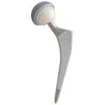 Pyramid Hip Stems and Cups