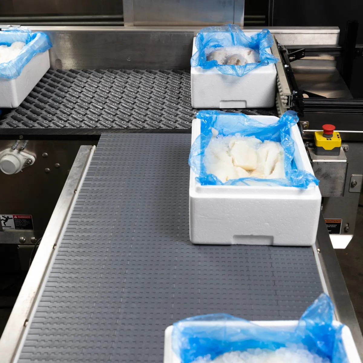 Packer to Palletizer Technology