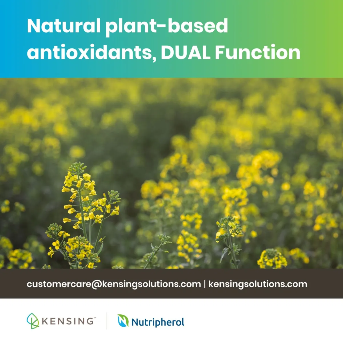 Nutripherol®