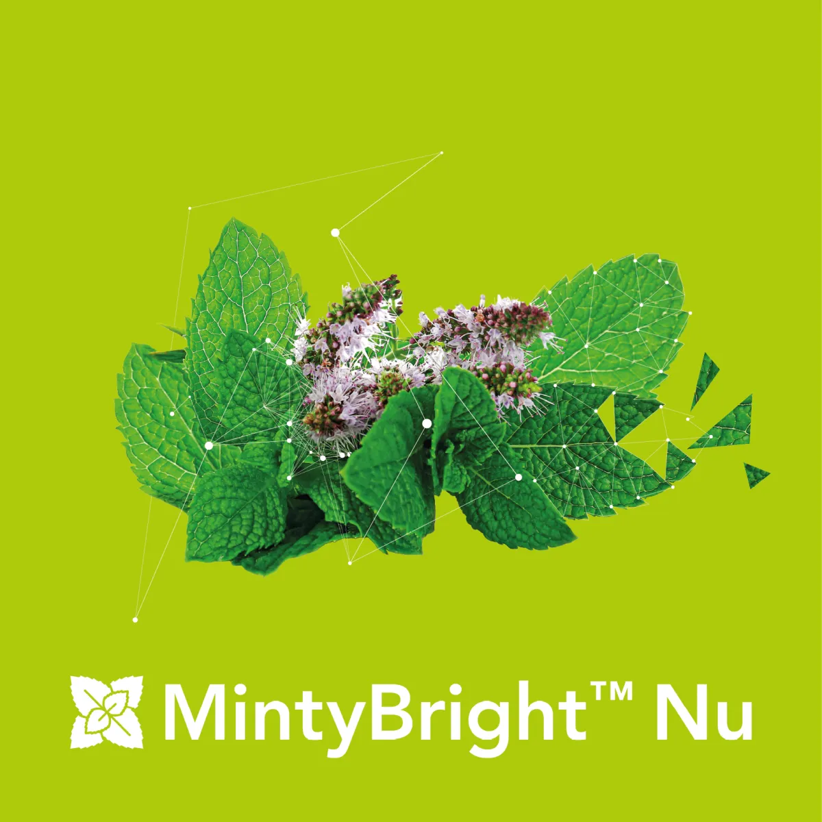 MintyBright™ Nu