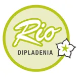 Dipladenia Rio