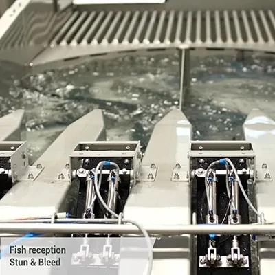 Verified Animal Welfare - Most Sophisticated BAADER Stunning and Bleeding