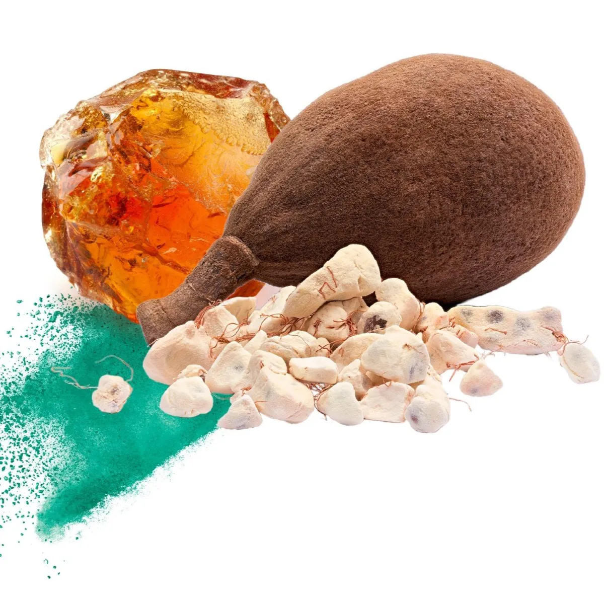 inavea™ BAOBAB ACACIA a friendly microflora regulator