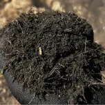 Consultoria em Agricultura Tropical Regenerativa