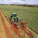 Arrancador de amendoim