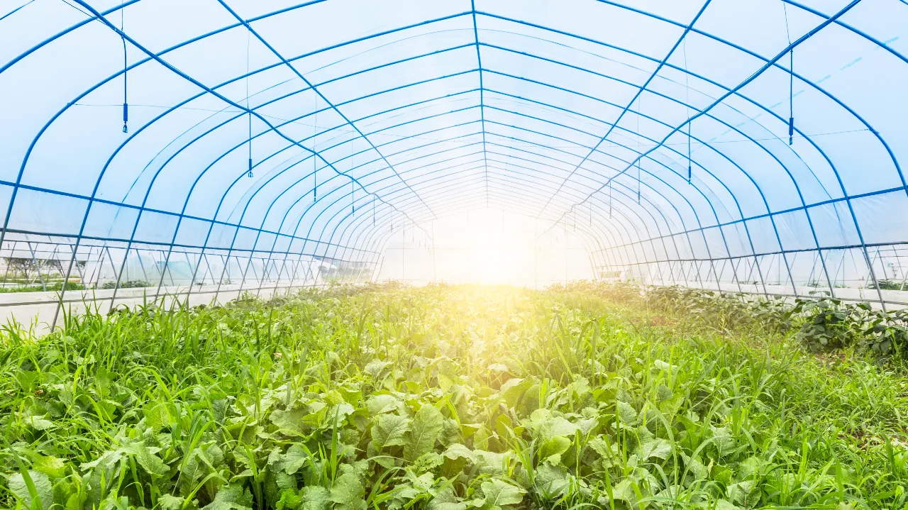 concilier le travail avec le soleil et les fortes chaleurs