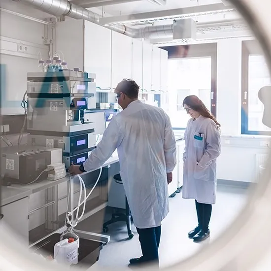 Stability Studies and Release Testing