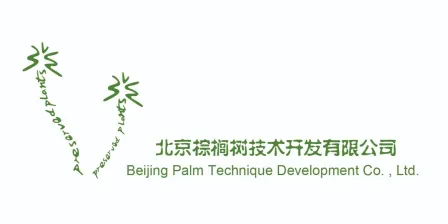 Beijing Palm Technique Development Co., LTD