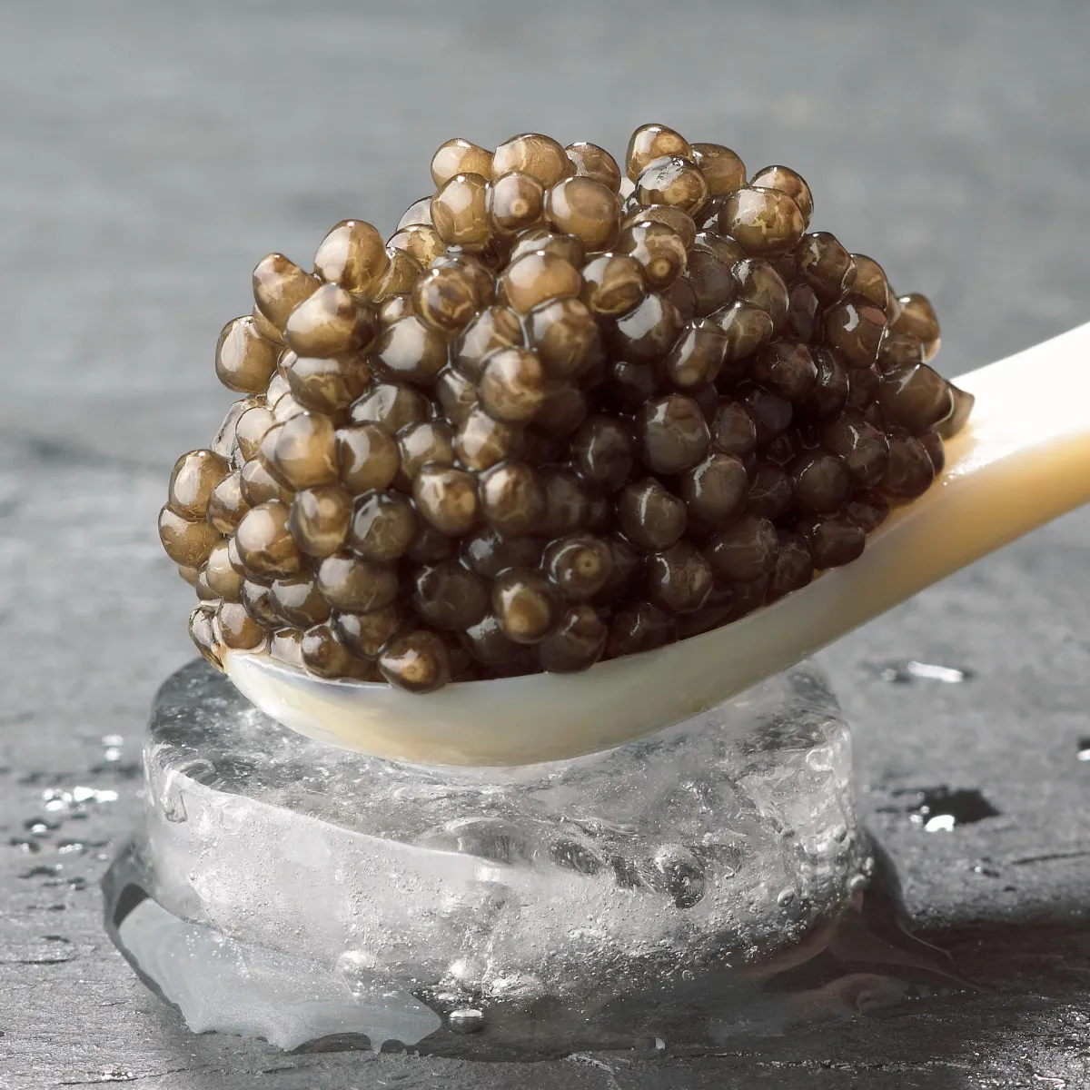 Beluga Caviar (Huso Huso)
