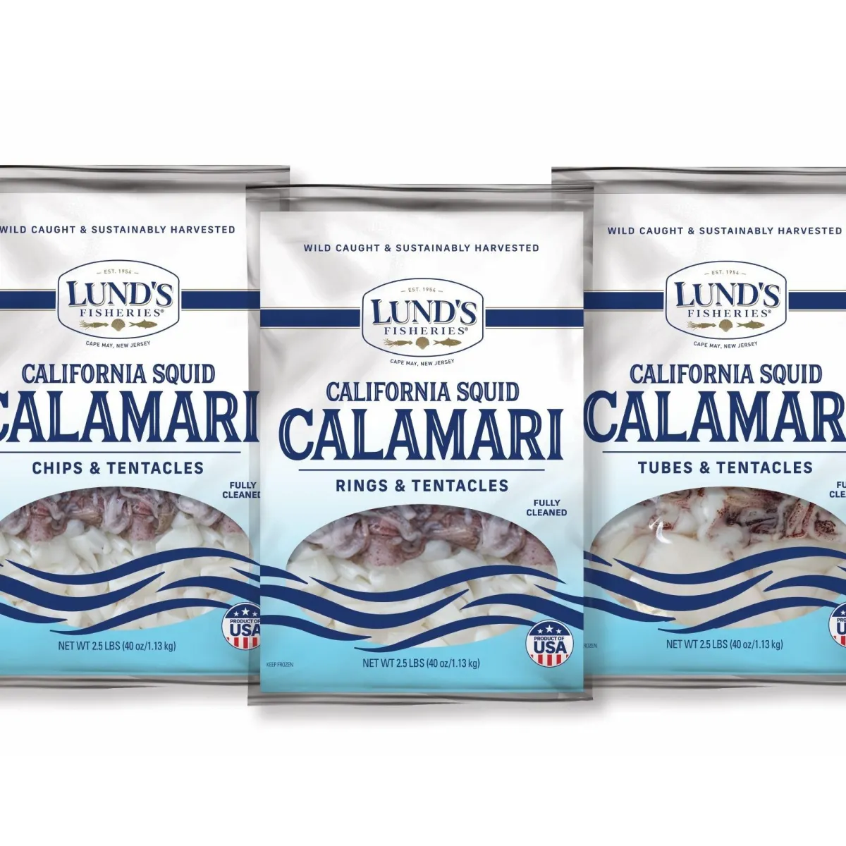 California Squid Calamari (California Market Squid)