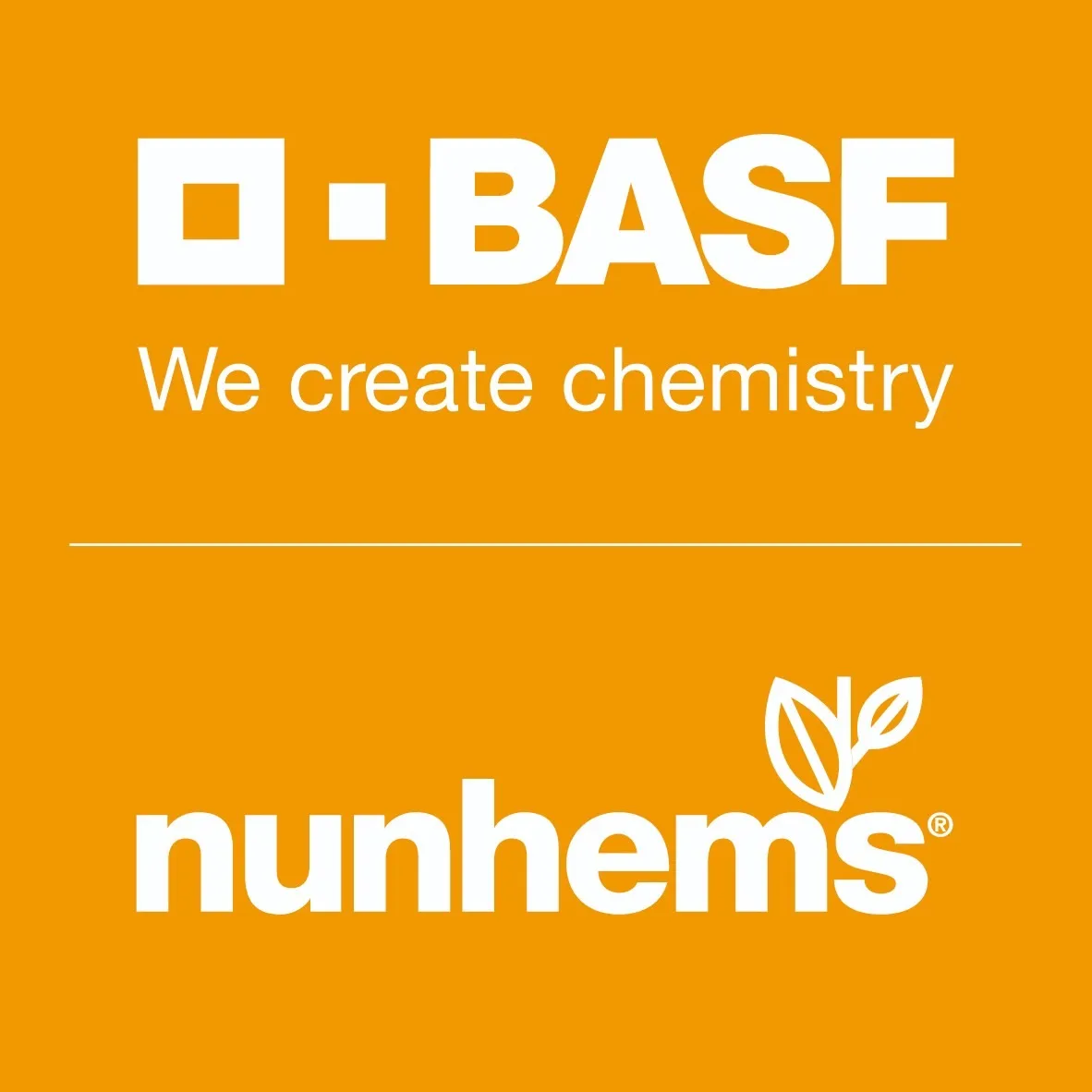 Nunhems France BASF