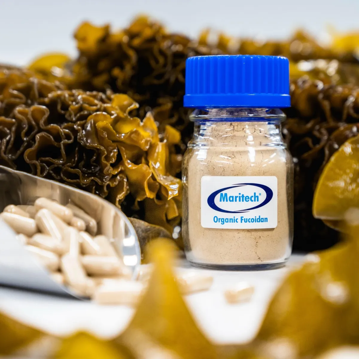 Maritech® organic fucoidan