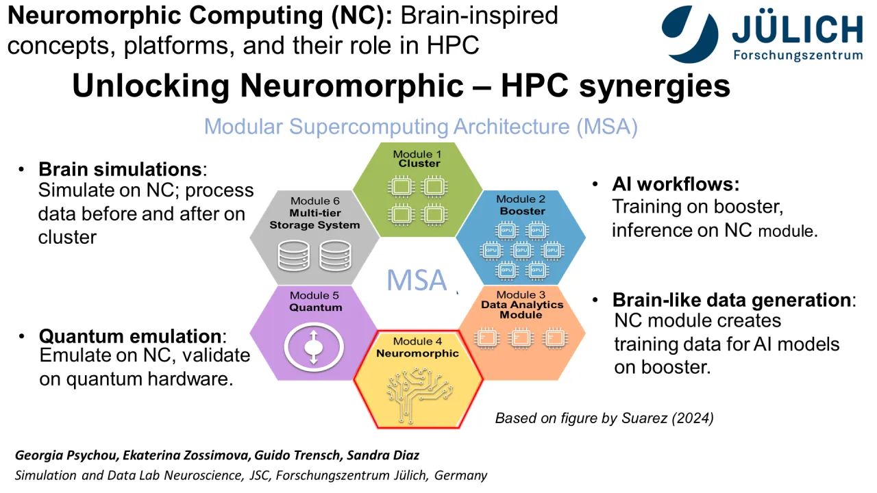 Neuromorphic computing: Brain-inspired concepts, platforms, and their role in HPC