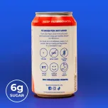 GoodMood Kombucha- Berry Pomegranate