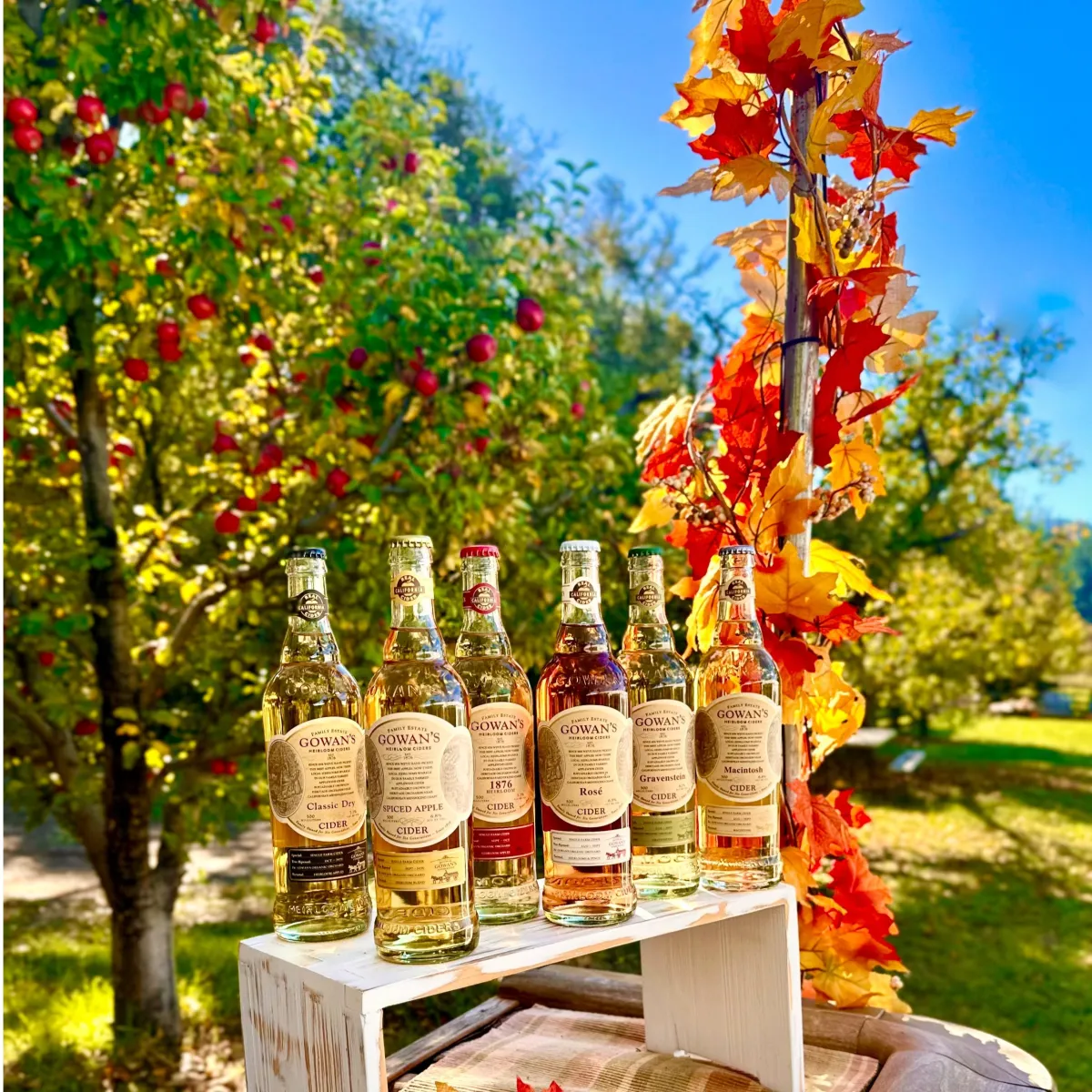 Gowan's Heirloom Ciders