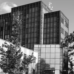 IMPORT & EU RELEASE SEVICES