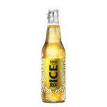 Saku on Ice Hola