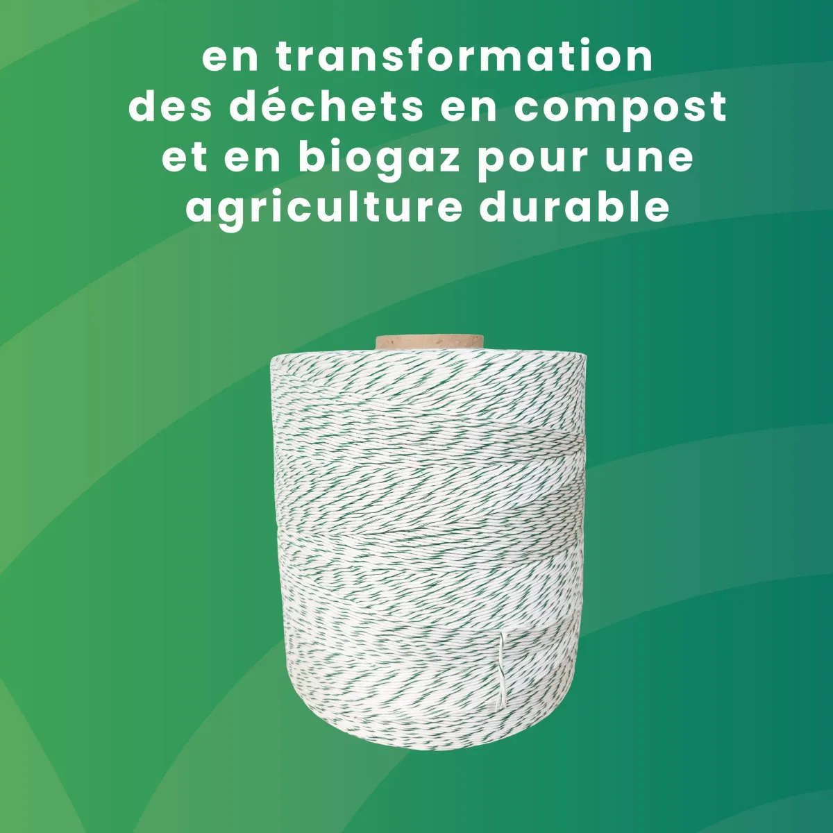 Ficelle Bio by Hilaturas Mar