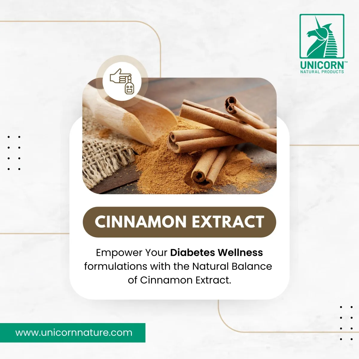 Cinnamon Extract