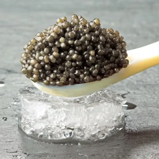 Acipenser Baerii Caviar