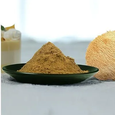 Organic Lion’s Mane Dual Extract (Freeze-Dried)