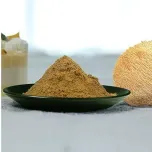 Organic Lion’s Mane Dual Extract (Freeze-Dried)