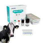 Brucella Diagnosis for Animals/Livestock