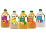 Nectars & Fruit Drinks