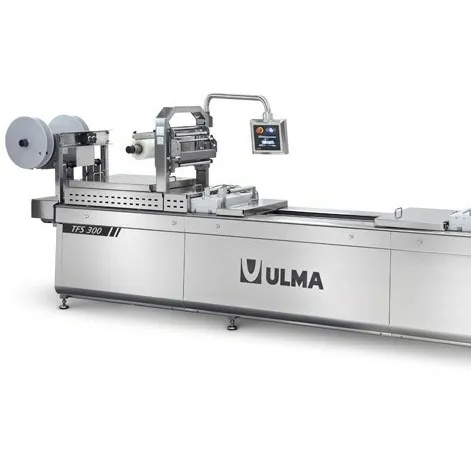 Termoformadora TFS 300