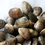 Hardshell, Steamers, Manila's, and more!