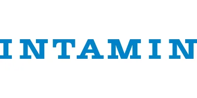 Intamin