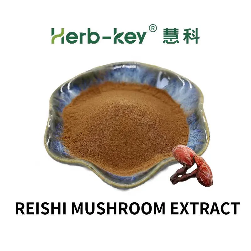 Reishi Mushroom Extract