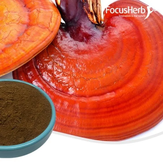 Reishi Mushroom Extract
