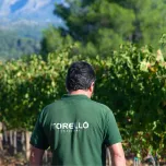 TORELLÓ TRADICIONAL BRUT NATURE 2021