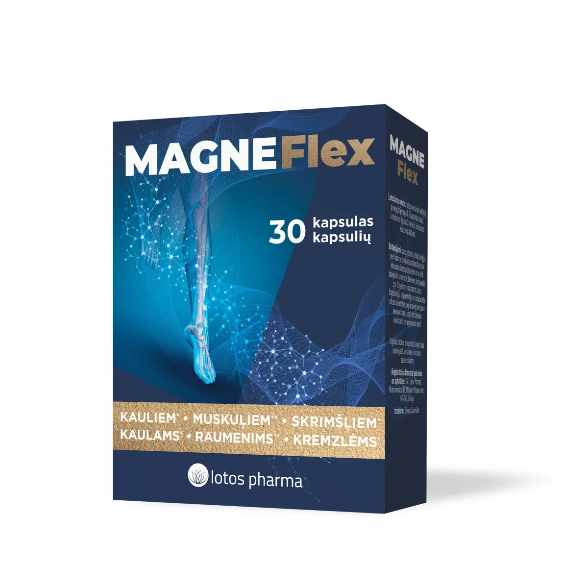 Magneflex