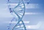 Oligonucleotide CRDMO Platform