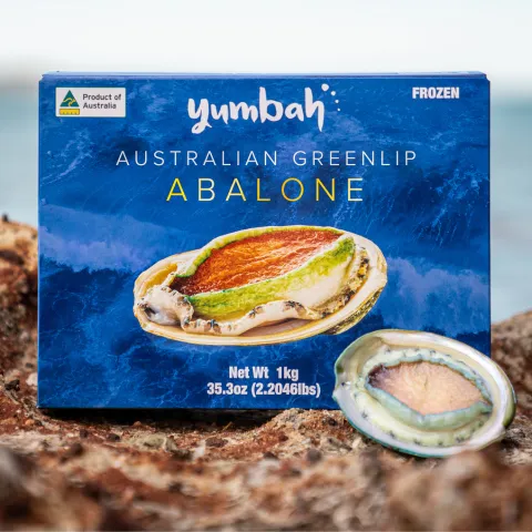 Abalone (Haliotidae family)