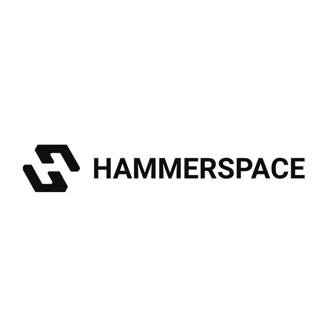 Strategic Investors Back Hammerspace as New Standard for AI Data Performance