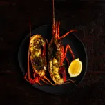 Western Rock Lobster (Panulirus Cygnus)