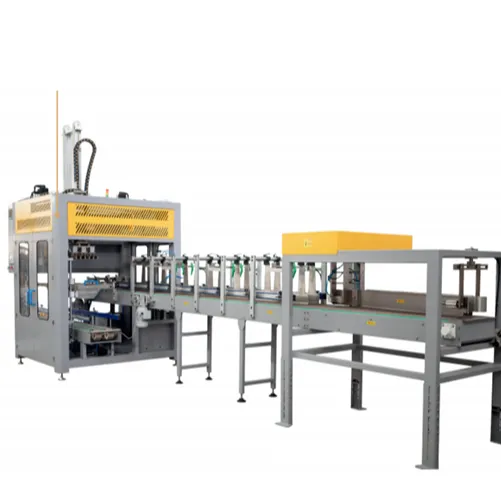 PICK & PLACE CASE PACKER