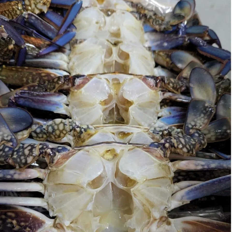 Cleaned Crab Clusters