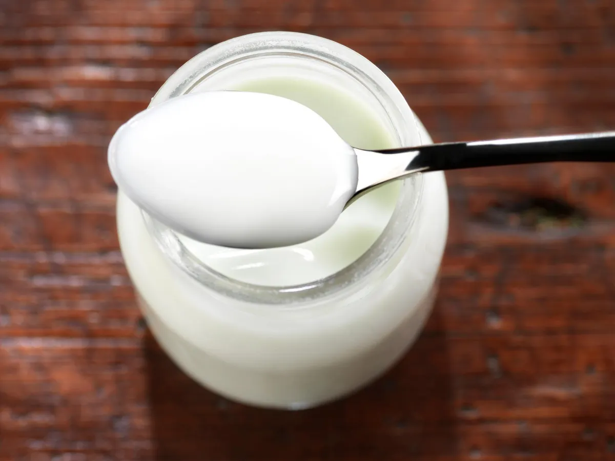 High protein cup yoghurt