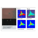 Raman Spectrometer MantaRay