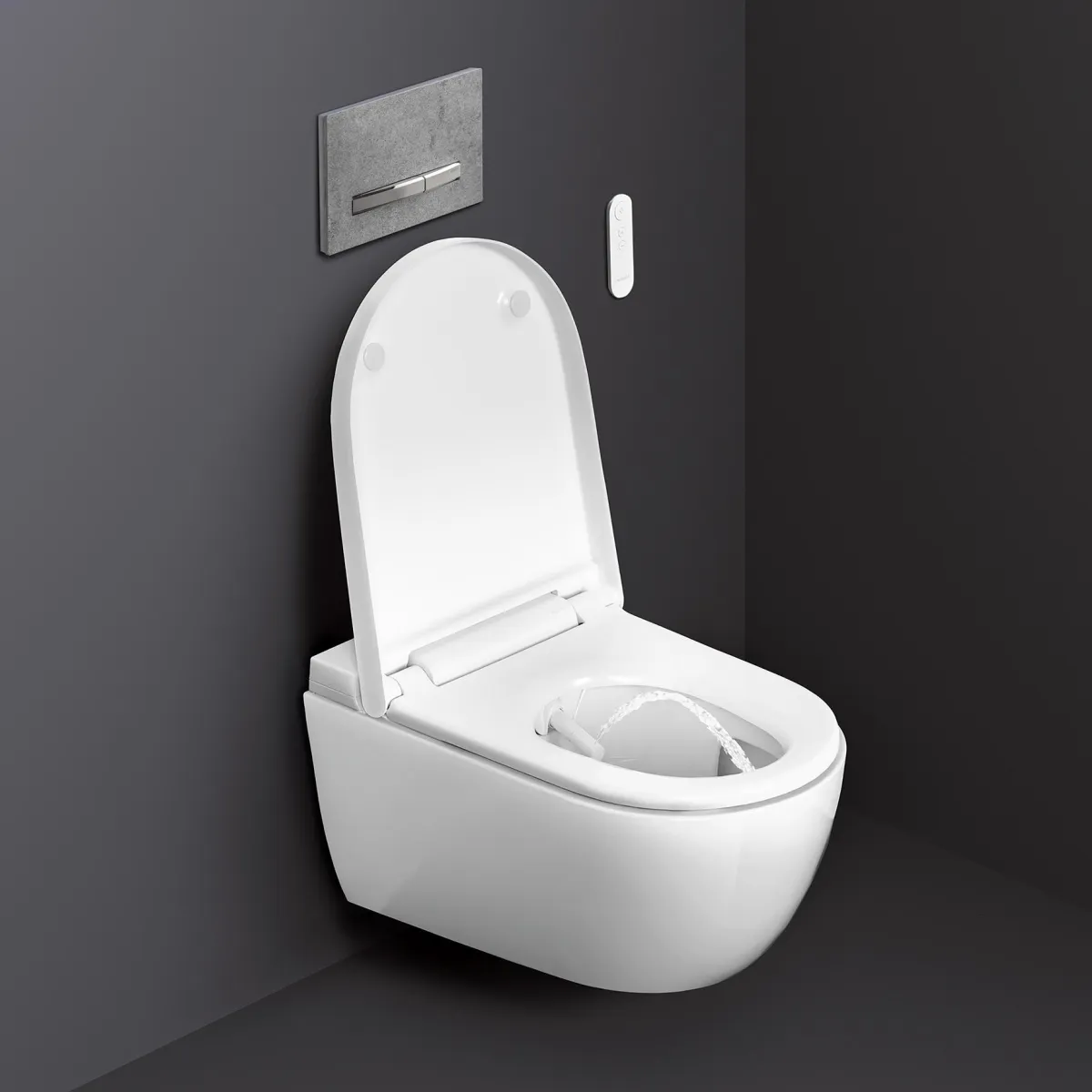 Geberit AquaClean Alba