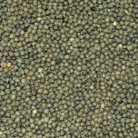 Green Puy lentils