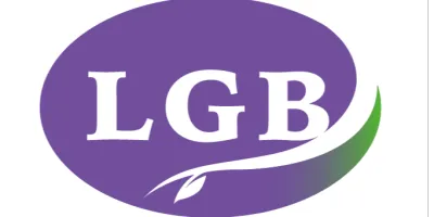 Lingonberry Group USA Inc.