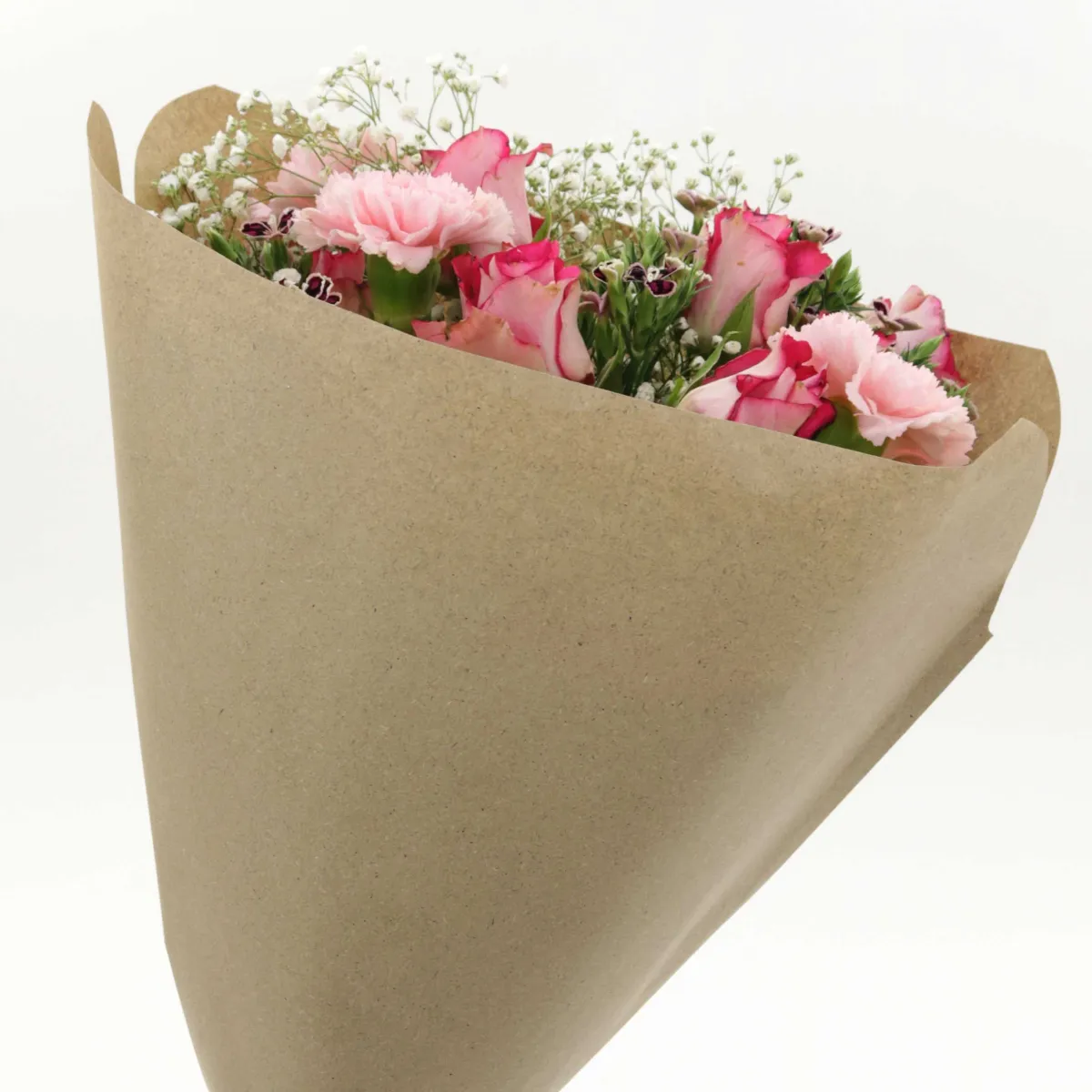 Housse Papier Silphie